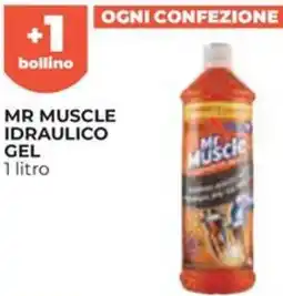 Ipercoop Mr muscle idraulico gel offerta