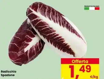 Despar Radicchio Spadone offerta