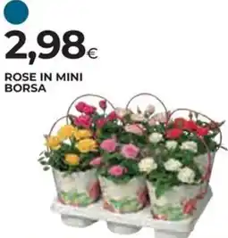 Ipercoop Rose in mini borsa offerta