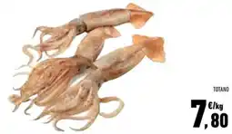 Conad Superstore Totano offerta