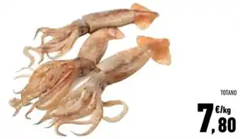 Conad Superstore Totano offerta