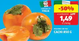 ALDI Regione che vai cachi offerta