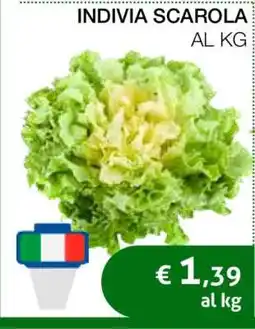 Coop INDIVIA SCAROLA offerta