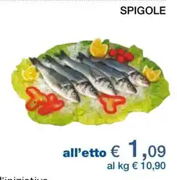 Coop Spigole offerta