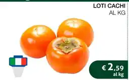 Coop LOTI CACHI offerta