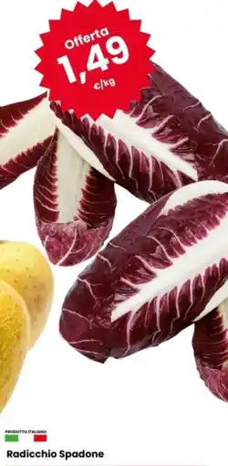Eurospar Radicchio Spadone offerta