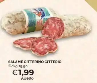 Mercatò Salame citterino CITTERIO offerta