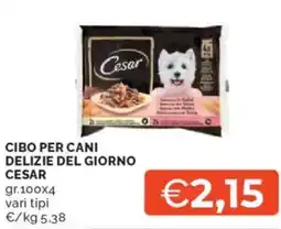 Mercatò Cibo per cani delizie del giorno CESAR offerta
