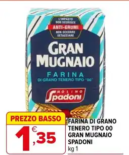 Iperal Farina tenero tipo 00 gran MOLINO SPADONI offerta