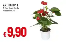 IperFamila Anthurium I offerta
