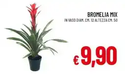 IperFamila Bromelia mix offerta