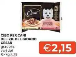 Mercatò Local Cibo per cani delizie del giorno CESAR offerta