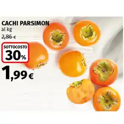 Coop CACHI PARSIMON offerta
