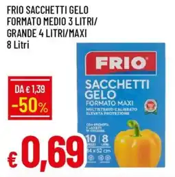 IperFamila Frio sacchetti gelo formato medio offerta