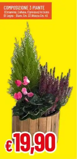 IperFamila Composizione 3 piante offerta