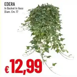 IperFamila Edera offerta