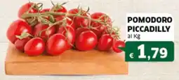 Sigma Pomodoro piccadilly offerta