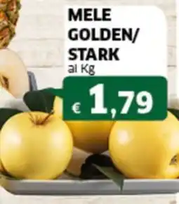 Sigma Mele golden/ stark offerta