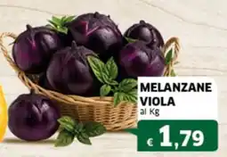 Sigma Melanzane viola offerta