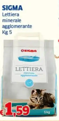Sigma SIGMA Lettiera minerale agglomerante offerta