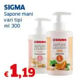 Sigma SIGMA Sapone mani offerta