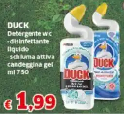 Sigma DUCK Detergente wc offerta