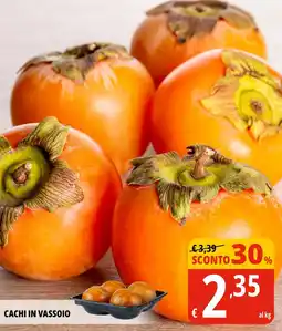 Tigros Cachi in vassoio offerta