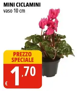 Tigros Mini ciclamini vaso 10 cm offerta