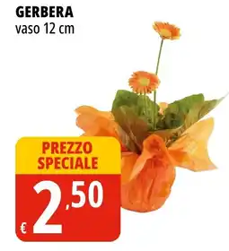 Tigros Gerbera vaso 12 cm offerta