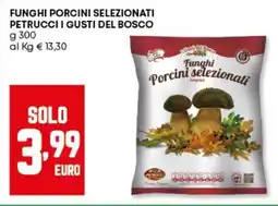 Panorama Funghi porcini selezionati petrucci i gusti del bosco offerta
