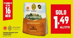 Panorama Grana padano dop GRANTERRE offerta