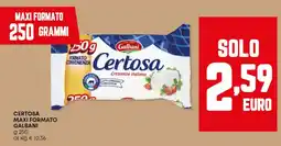 Panorama Certosa maxi formato GALBANI offerta