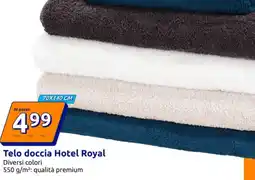 Action Telo doccia Hotel Royal offerta