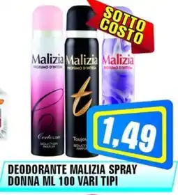 Punto Vigas Deodorante malizia spray donna offerta