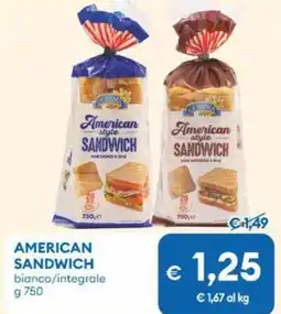 MD Discount American sandwich bianco/integrale offerta