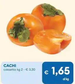 MD Discount Cachi cassetta offerta