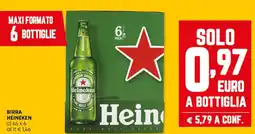 Panorama Birra HEINEKEN offerta