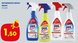 Panorama Detergente spray SMAC offerta