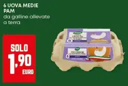 Panorama 6 uova medie pam da galline allevate a terra offerta