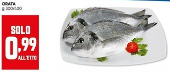 Panorama Orata offerta