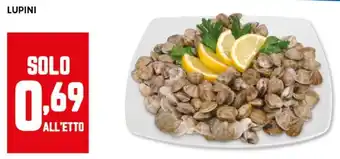 Panorama Lupini offerta