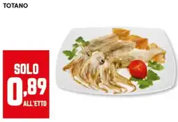 Panorama Totano offerta