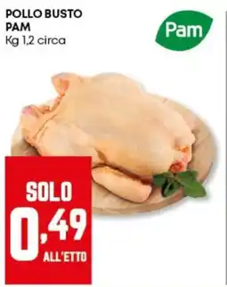 Panorama Pollo busto PAM offerta