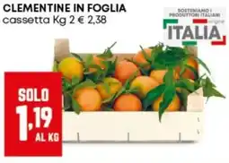 Panorama Clementine in foglia cassetta offerta