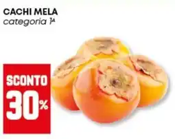 Panorama Cachi mela offerta