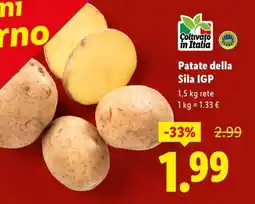 Lidl Patate della Sila IGP offerta