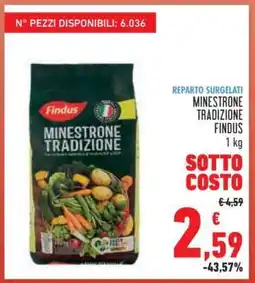 Conad MINESTRONE TRADIZIONE FINDUS offerta
