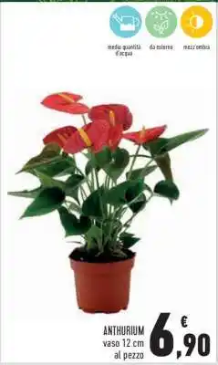 Conad ANTHURIUM offerta