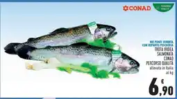 Conad TROTA IRIDEA SALMONATA CONAD PERCORSO QUALITÀ offerta