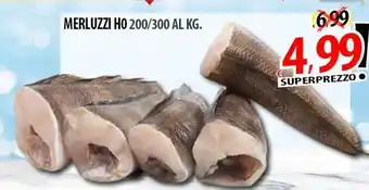 Il Genio Supermercato MERLUZZI HO 200/300 offerta